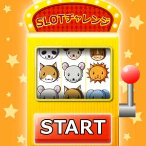 オンライン抽選ツール開発実績