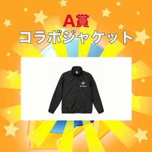 オンライン抽選ツール開発実績